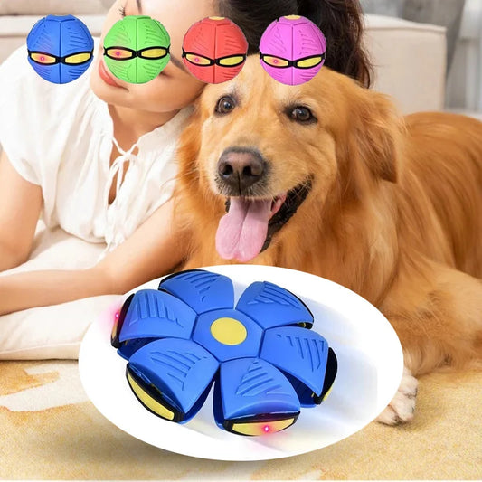 Bounce-n-Zoom UFO Dog Toy